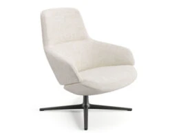 Aston Club Low Back Lounge Chair