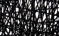 Carbon Chair -Chair Sales carbon chair bertjan pot moooi 7