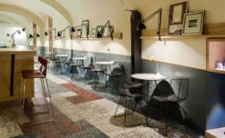 Leaf Side Chair With Sled Base -Chair Sales leaf side chair sled base lievore altherr molina arper 7