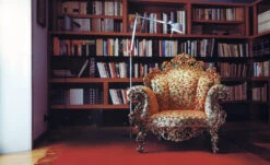 Proust Chair -Chair Sales proust alessandro mendini cappellini 2