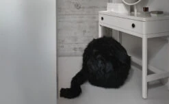 Ron Ron By Gufram 9 Ron Ron By Gufram -Chair Sales ron ron gufram 2