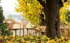 Supernatural Small Armchair 4 Pack 20 Supernatural Small Armchair 4 Pack -Chair Sales supernatural small armchair 4pack ross lovegrove moroso 8